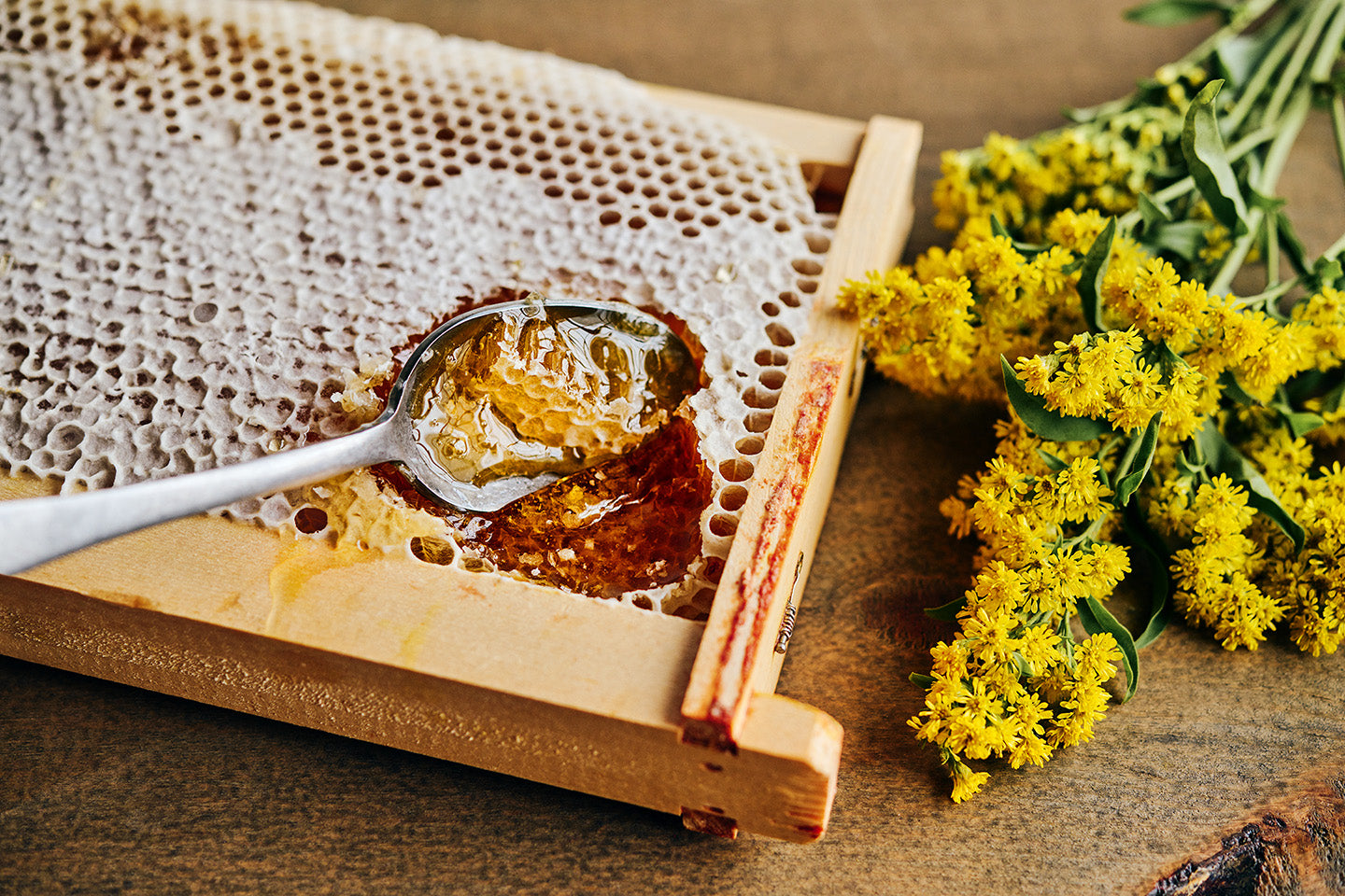 Rayon de miel sur cadre