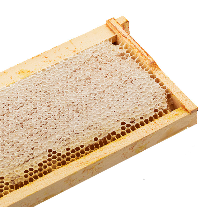 Rayon de miel sur cadre