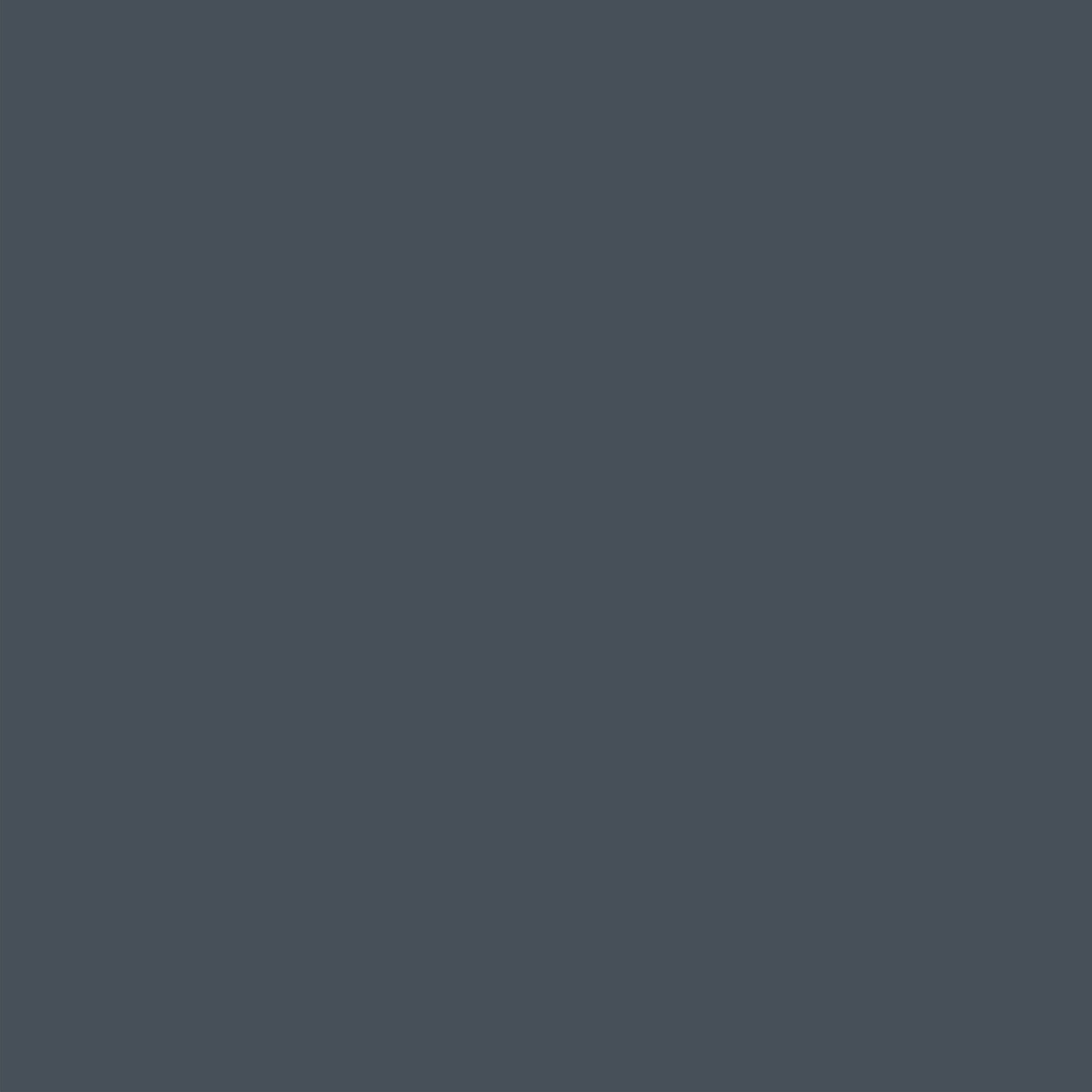 couleut-bleuet