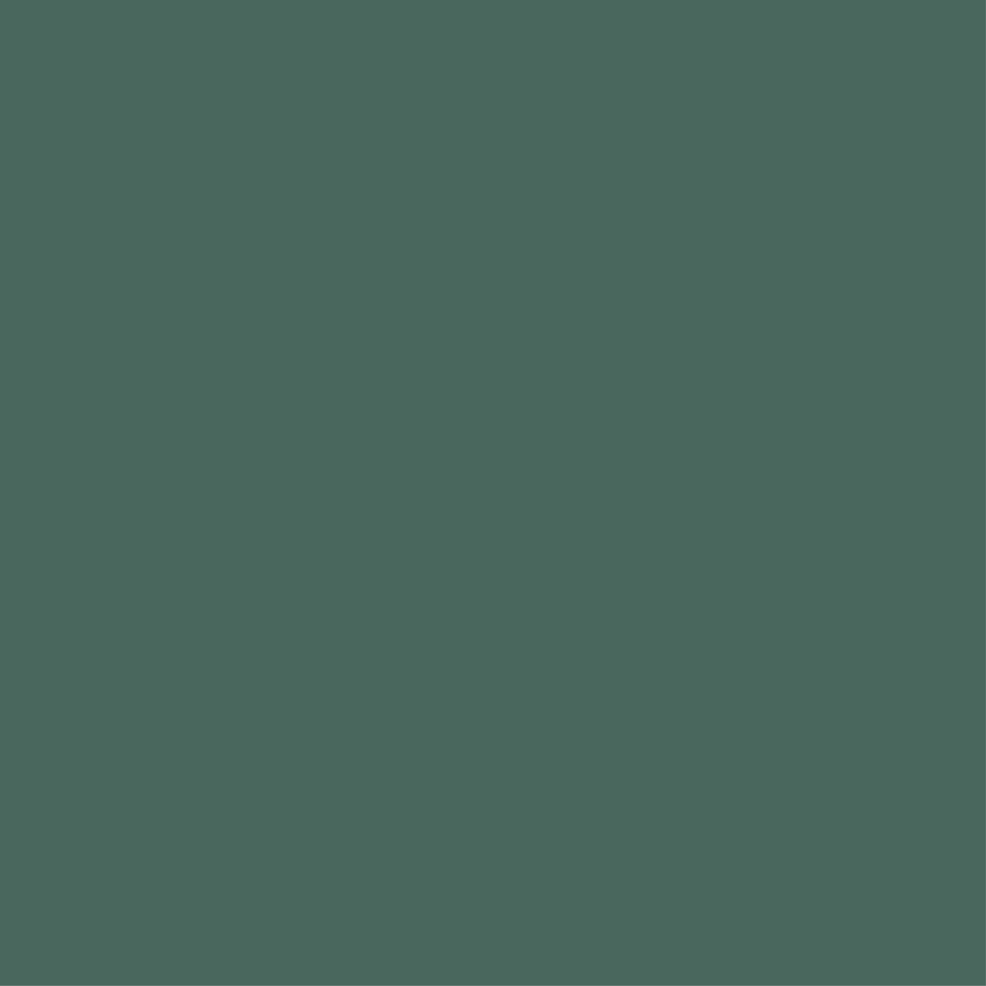 L-022 Chaud | Animal