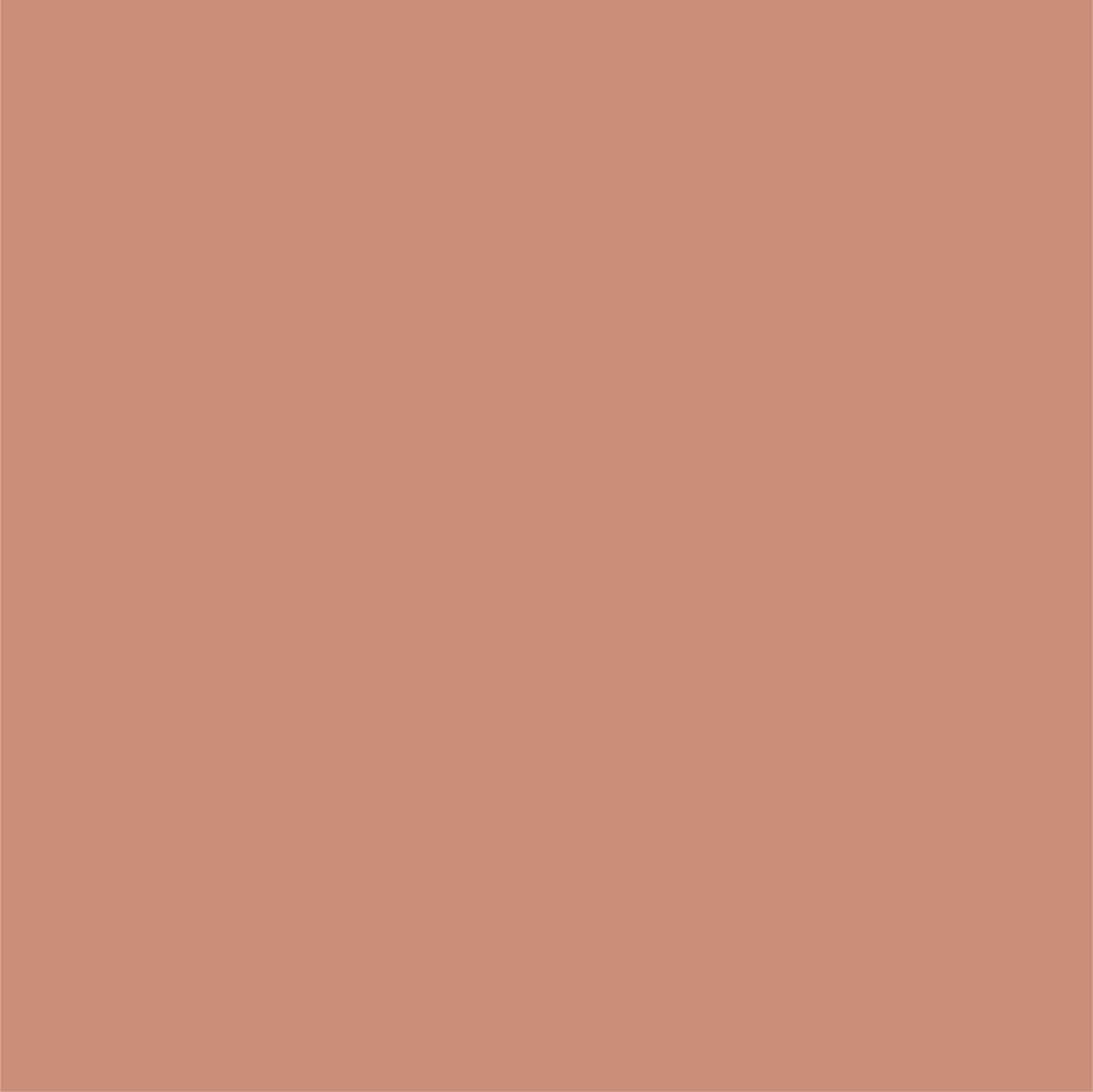 L-583 Chaud | Boisé