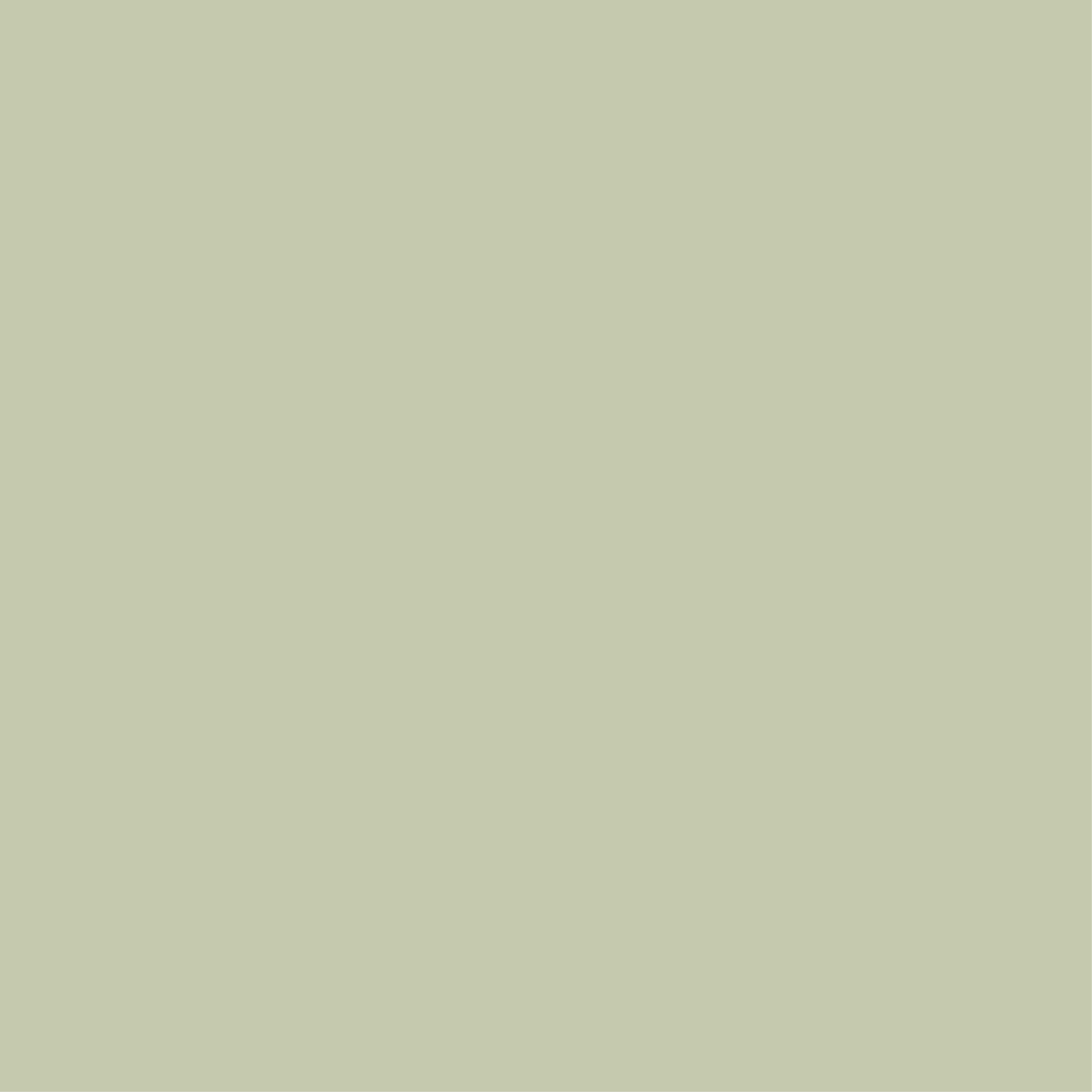 L-063 Frais | Floral