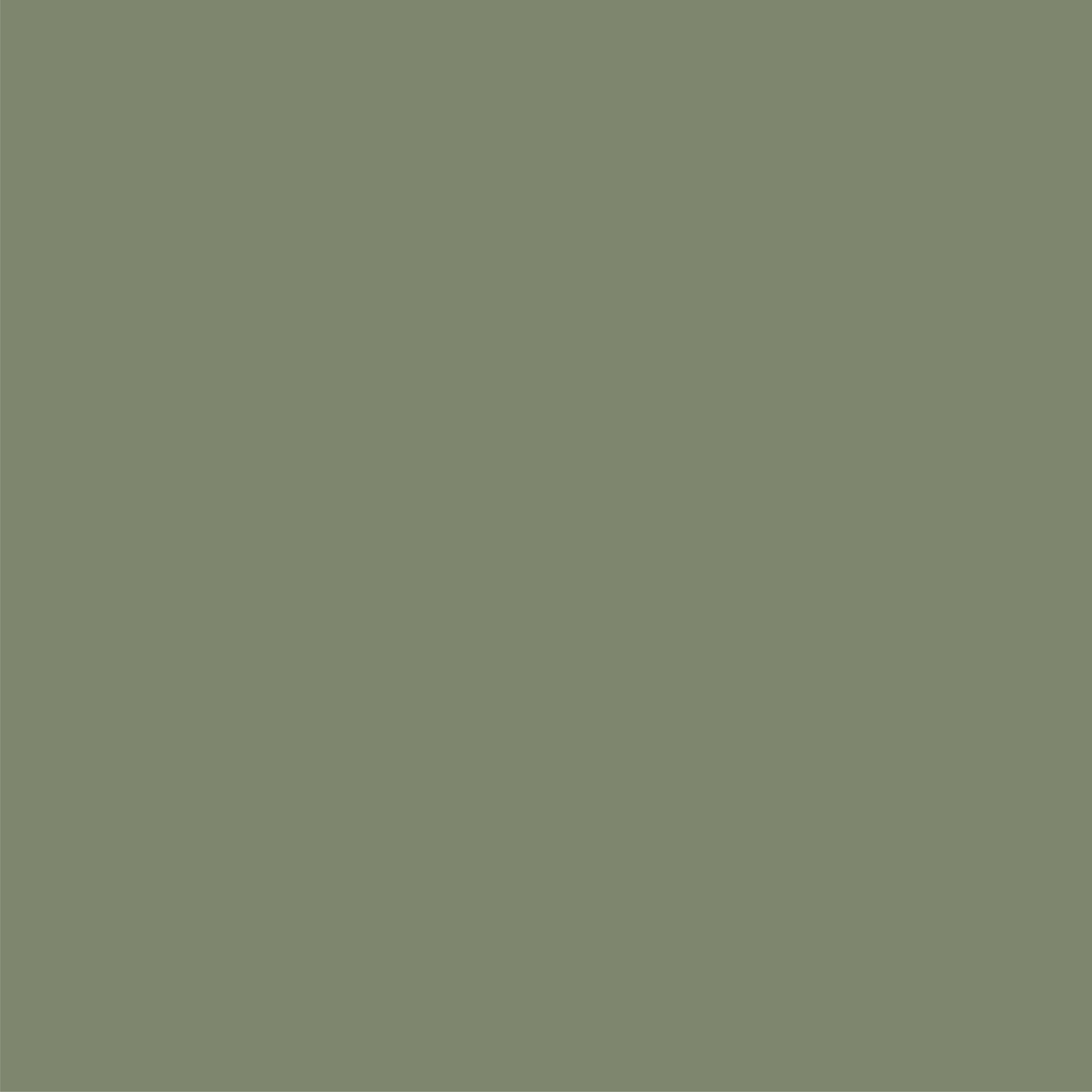 L-541 Floral | Végétal
