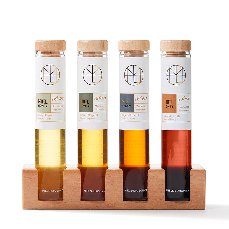 Ensemble de dégustation 4 miels et présentoir